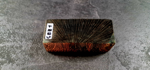 Stabilisierte gestockte Buche blau/schwarz (GBZ1) 